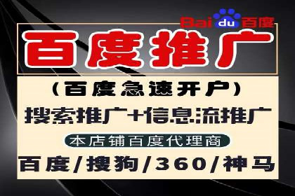 案例解析：SEM竞价代运营如何提升转化率